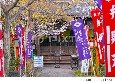 長建寺　本堂と桜（京都市伏見区） 124941728