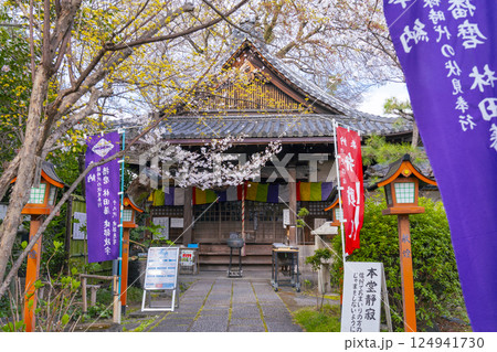 長建寺　本堂と桜（京都市伏見区） 124941730
