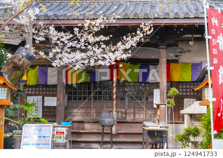 長建寺　本堂と桜（京都市伏見区） 124941733