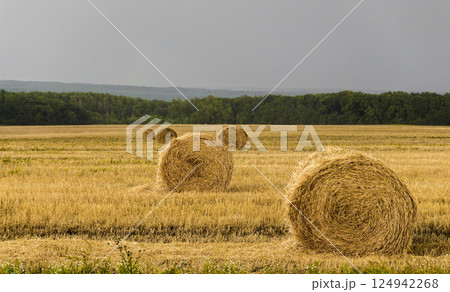 Twisted straw Twisted straw 124942268