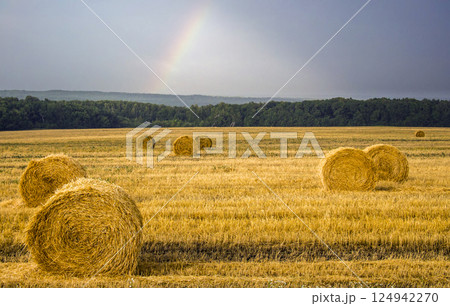 Twisted straw 124942270