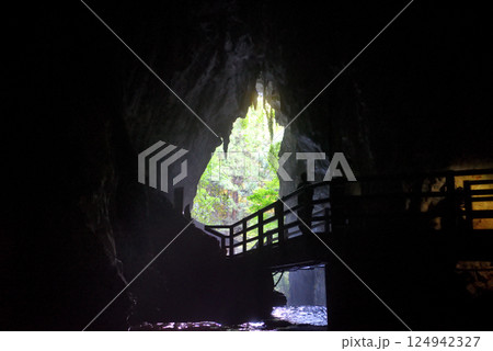 中国地方・秋吉台・秋芳洞・青天井の内部から眺める、観光客がいる洞窟入口の風景・山口県美弥市 124942327