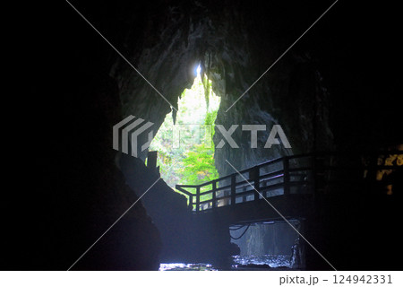 中国地方・秋吉台・秋芳洞・青天井の内部から眺める、洞窟入口の神秘的な風景・山口県美弥市(7) 124942331