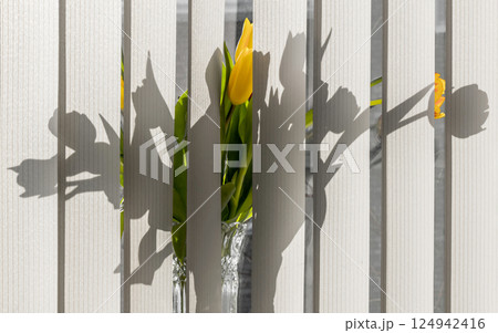 Flowers on the windowsill Flowers on the windowsill 124942416