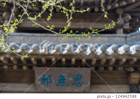 建築 構築 アーキテクチャ 124942598