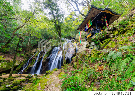 春の金引の滝 京都府宮津市 春の金引の滝 京都府宮津市 124942711