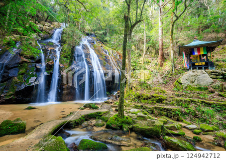 春の金引の滝　京都府宮津市 124942712