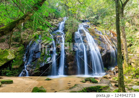 春の金引の滝 京都府宮津市 春の金引の滝 京都府宮津市 124942713