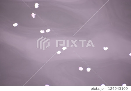 桜の花びらをあしらったパープル系背景素材 桜の花びらをあしらったパープル系背景素材 124943109