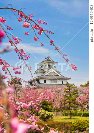さくらと長浜城 124943408