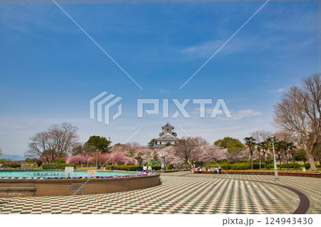 さくらと長浜城 さくらと長浜城 124943430