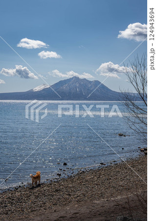 湖畔でたわむれる犬 湖畔でたわむれる犬 124943694