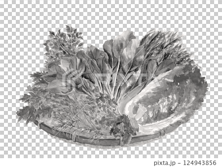 白色背景、透明背景上以水彩風格 [手繪] 繪製的漏勺中一組綠葉蔬菜的單調插圖 124943856