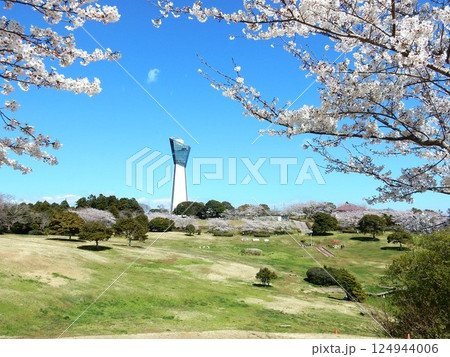 桜の名所・いわき市小名浜の三崎公園 124944006