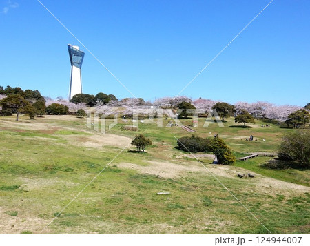 観光いわきのシンボル・マリンタワーと三崎公園 124944007