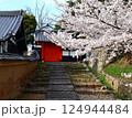 桜のある風景 124944484