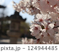 桜咲く 124944485
