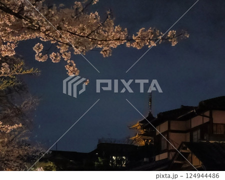 桜の向こうに映る八坂の塔 桜の向こうに映る八坂の塔 124944486