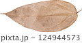 dry leaves. 124944573