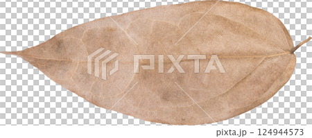 dry leaves. dry leaves. 124944573