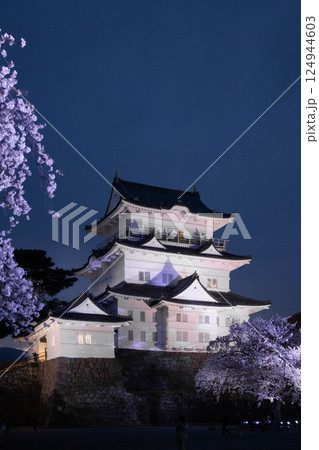 小田原城と桜 小田原城と桜 124944603