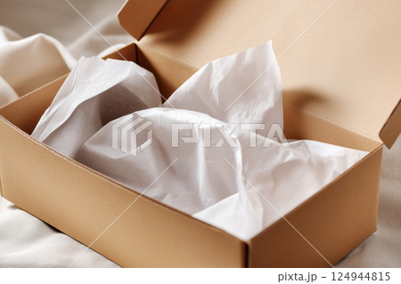 An open empty shoe box made of kraft paper 124944815