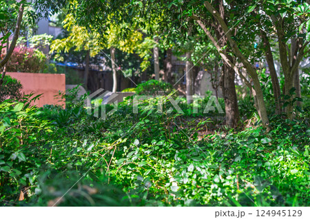 屋外 野外 アウトドア 124945129