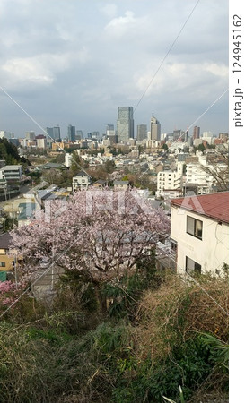 高台から見た仙台市街の街並みと桜の木 124945162