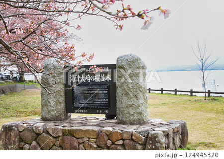 満開が待ち遠しい海津大崎の桜 満開が待ち遠しい海津大崎の桜 124945320