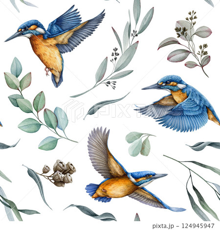 Kingfisher birds with eucalyptus leaves decor seamless pattern on white background. Watercolor hand drawn realistic illustration. Bright birds on eucalyptus leaves background seamless pattern element Kingfisher birds with eucalyptus leaves decor seamless pattern on white background. Watercolor hand drawn realistic illustration. Bright birds on eucalyptus leaves background seamless pattern element 124945947