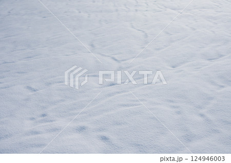 風の跡が残る雪面【長野県】 124946003