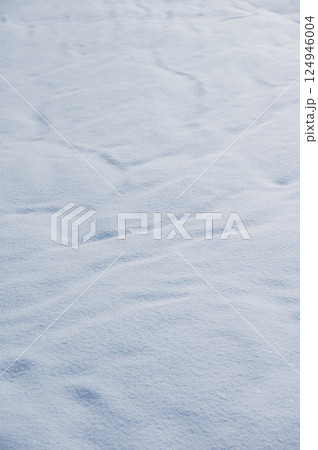 風の跡が残る雪面【長野県】 124946004