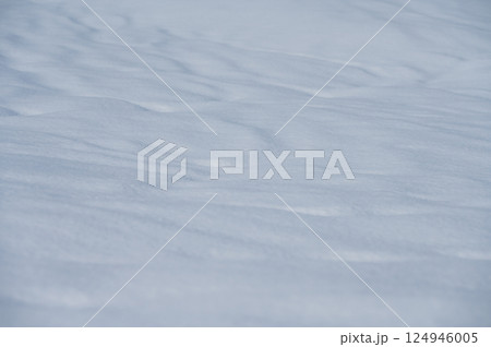 風の跡が残る雪面【長野県】 124946005