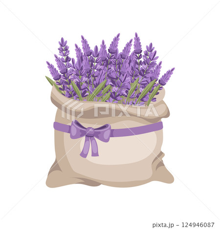 Bag of lavender flowers with purple bow. Illustration for a wedding invitation, postcard, logo. 124946087