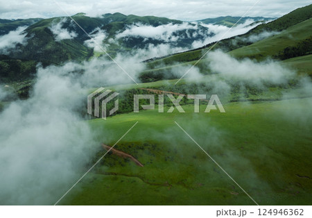 Aerial view of beautiful high altitude forest grassland mountain landscape 124946362