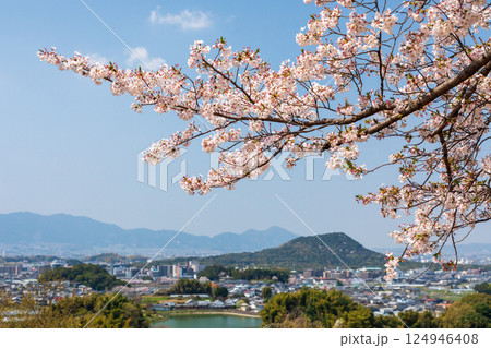 畝傍山を望む甘樫丘の桜 124946408
