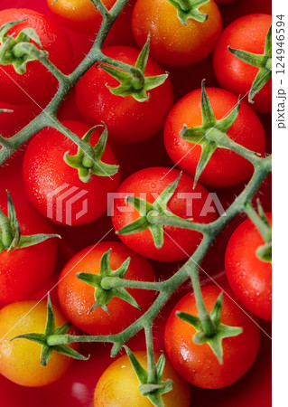 Fresh red cherry tomato on red background. 124946594