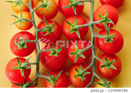 Fresh red cherry tomato on yellow background. 124946596