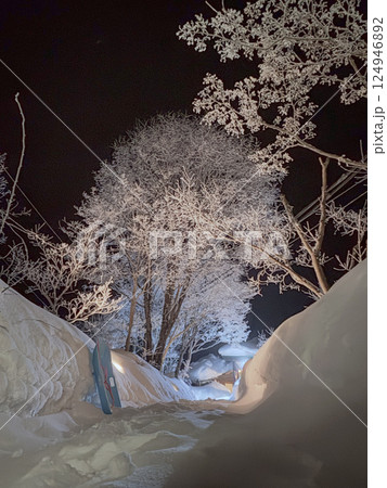 ライトアップされた雪景色 124946892