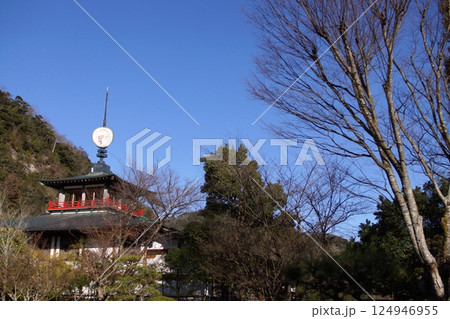 鳥取　四季の散歩　冬　花 124946955