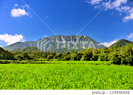 中国地方・大山隠岐国立公園・大山町から眺める険しい北壁と美しい山容の大山・鳥取県大山町(2) 124946988