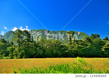 中国地方・大山隠岐国立公園・大山町から眺める険しい北壁と美しい山容の大山・鳥取県大山町(3) 中国地方・大山隠岐国立公園・大山町から眺める険しい北壁と美しい山容の大山・鳥取県大山町(3) 124946989