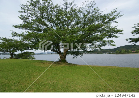 鳥取 四季の散歩 青島 鳥取 四季の散歩 青島 124947142