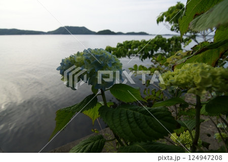 鳥取 四季の散歩 青島 鳥取 四季の散歩 青島 124947208