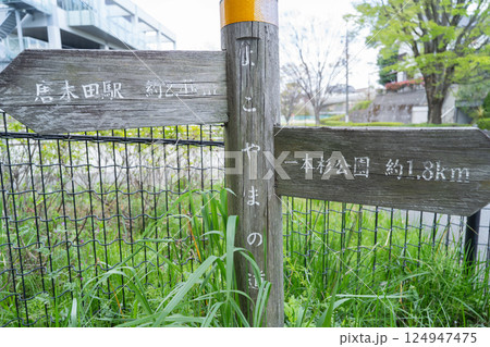 多摩丘陵のよこやまの道 124947475