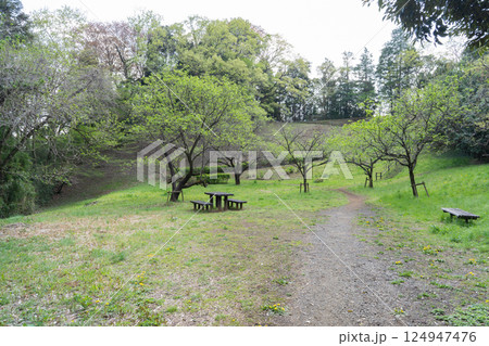 山中文園付近（多摩丘陵・よこやまの道） 124947476