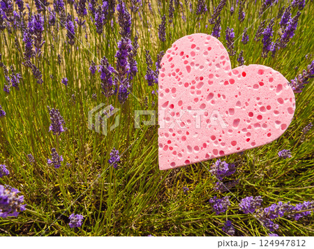 Lavender field and heart shaped pink sponge. Spa aromatherapy and cosmetology. Lavender field and heart shaped pink sponge. Spa aromatherapy and cosmetology. 124947812