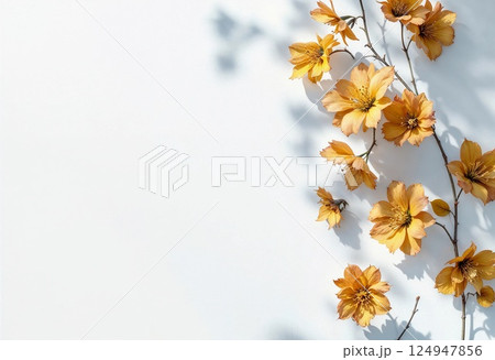 Golden Blooms Cascade Gracefully Against a Soft White Backdrop. Generative AI Golden Blooms Cascade Gracefully Against a Soft White Backdrop. Generative AI 124947856
