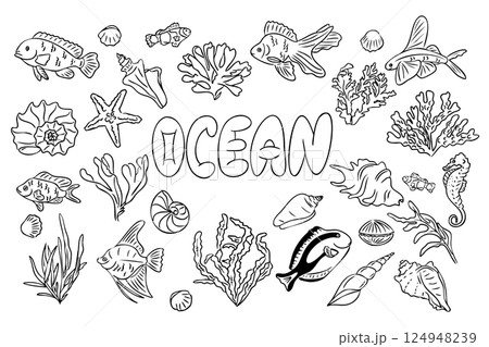 Ocean animals and plants coloring page 124948239