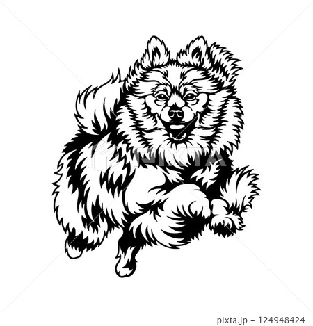 Pomeranian Dog Breed - Pet Vector Cut file, Dog Silhouette Stencil - Cricut file 124948424